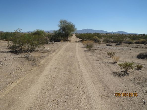 Lot 36A& Douglas Ln: Douglas Ln, Yucca, AZ 86438